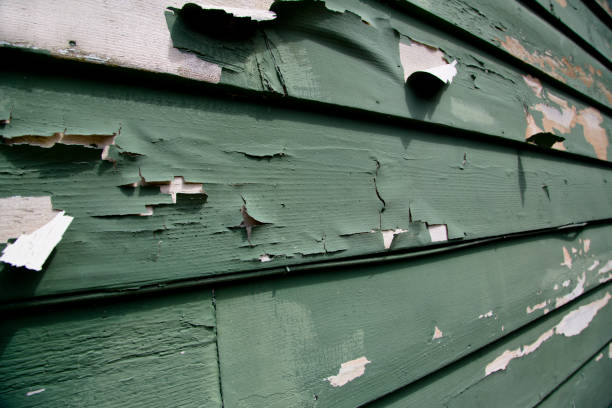 Best Yard Waste Removal  in Sweet Home, OR