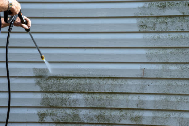 Best Basement Cleanout  in Sweet Home, OR